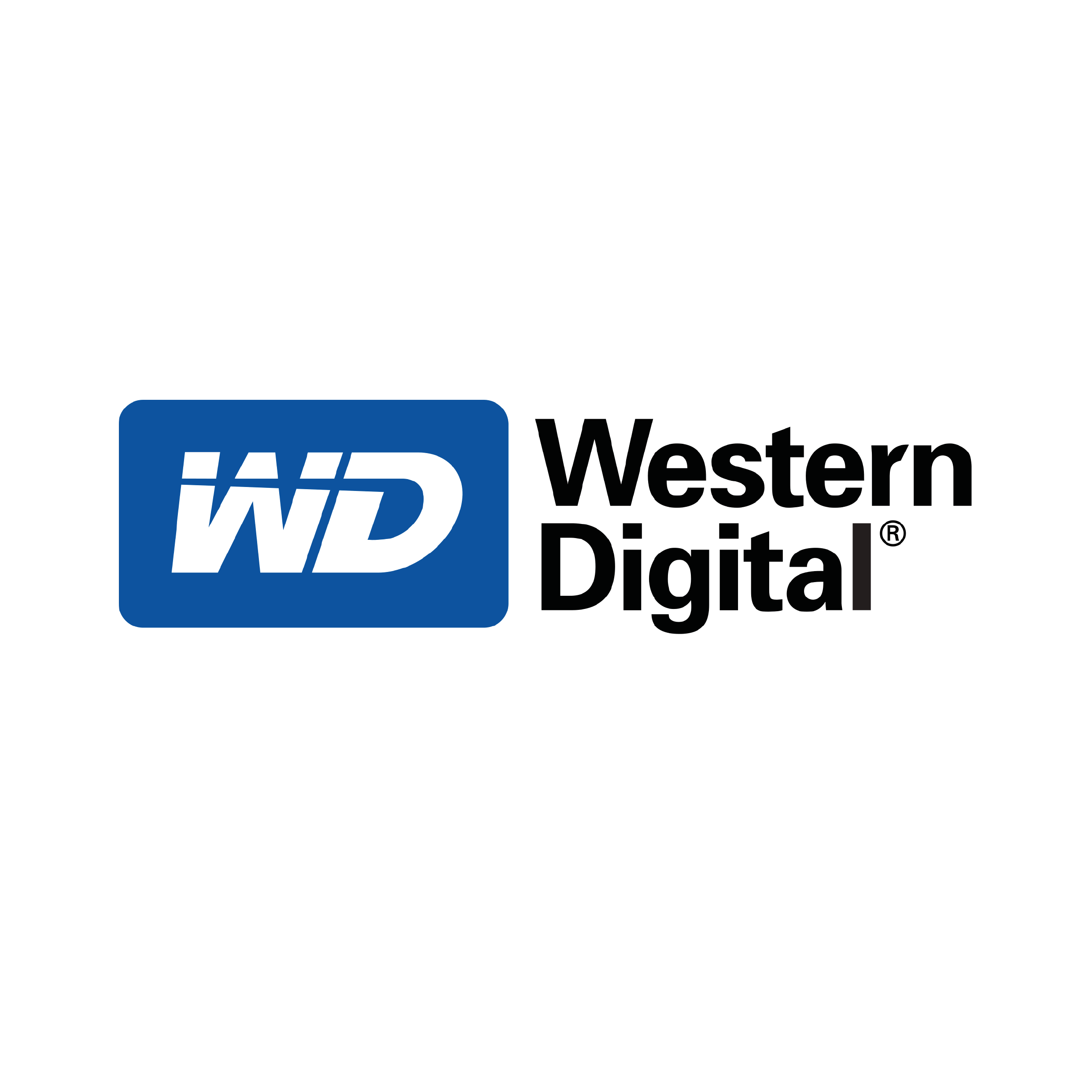 WESTERN DIGITAL (MALAYSIA) SDN BHD